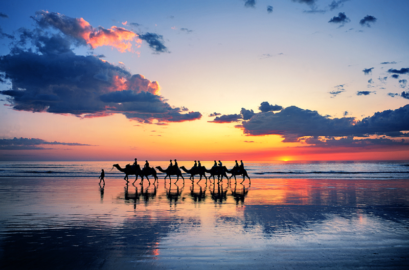 Illustration for article titled Australia's Most Beautiful Beaches !
